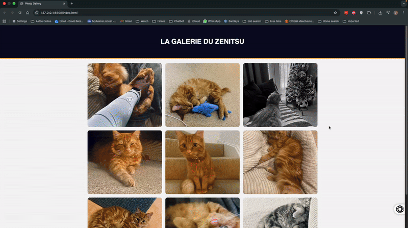 Full size screenshot of Zenith cat photo gallery project